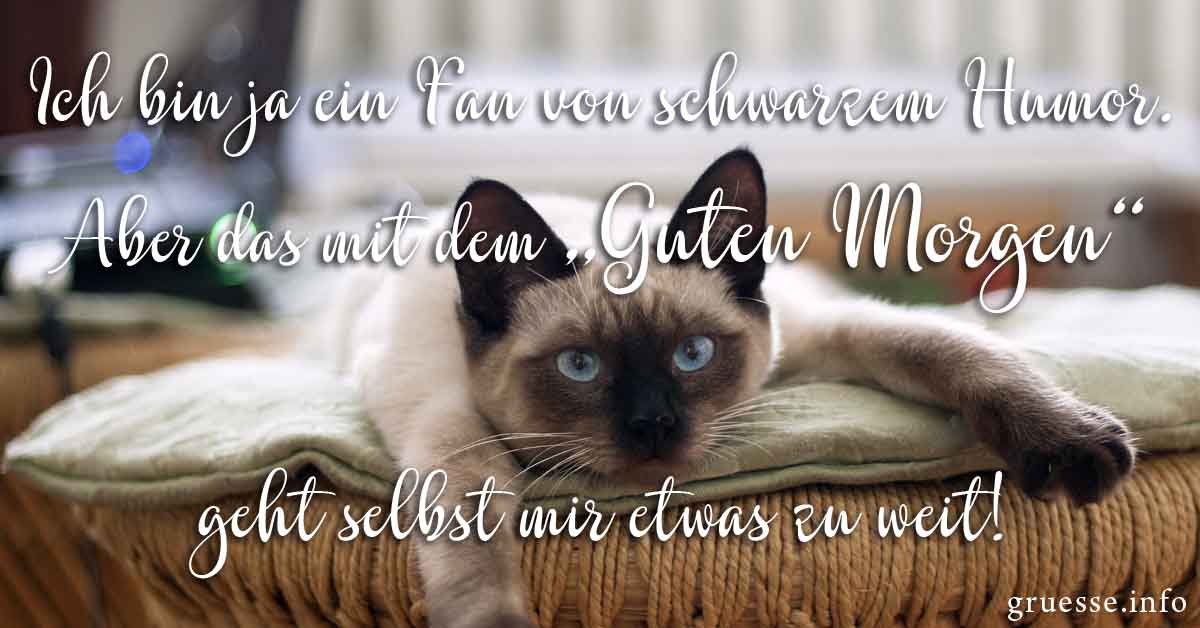 Lustige Guten Morgen Bilder & Sprüche - Grüße.info 628_x_1200_jpg