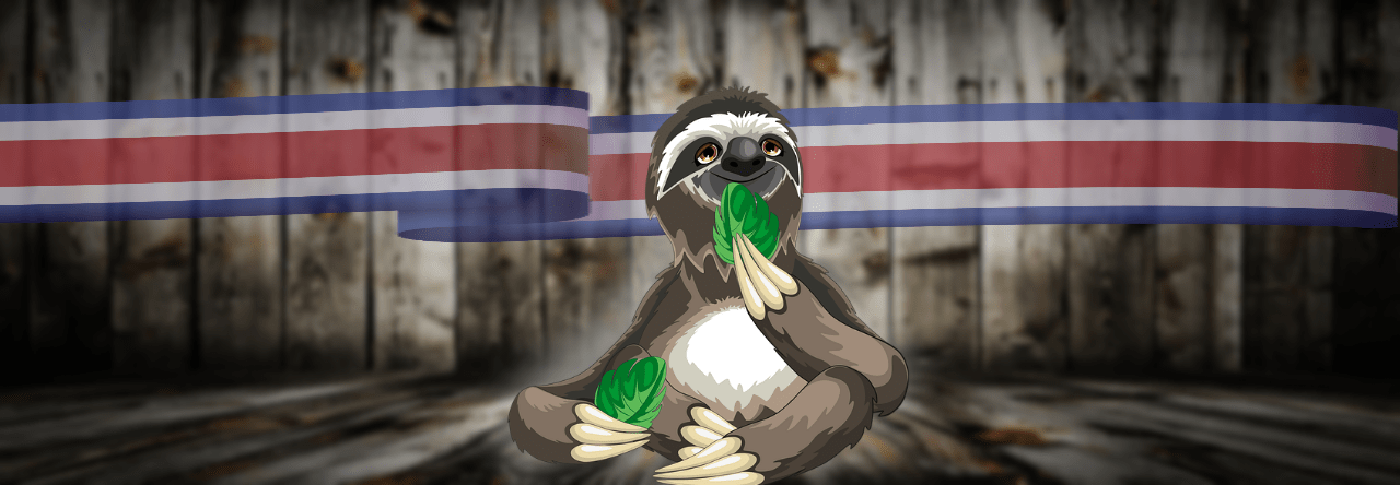 Lessons From a Sunday Sloth