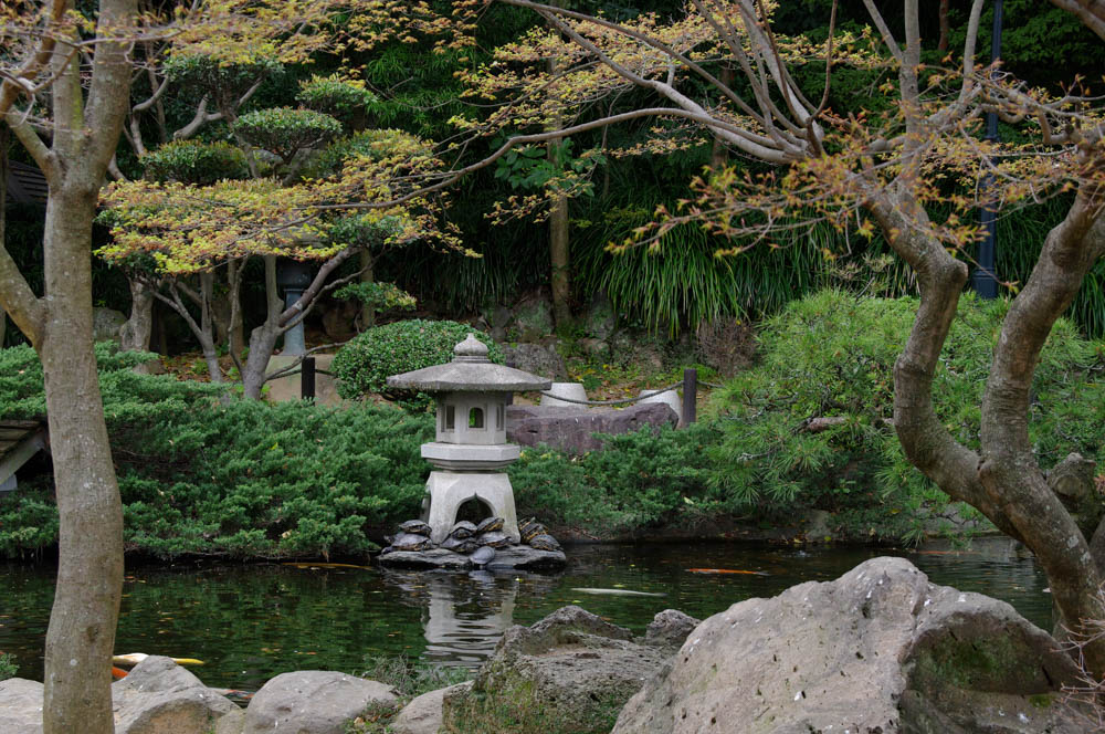 Japanese Garden Scene
