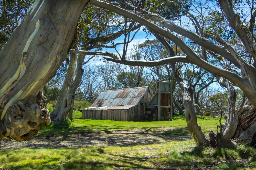 Wallaces Hut - Victorian High Country - Typical of Australian high country huts this one was built by the Wallace brothers in 1889. Cattlemen used huts like these as they rounded up their cattle to drive them to lower altitudes before winter.  They are an important element in Australian folk lore.