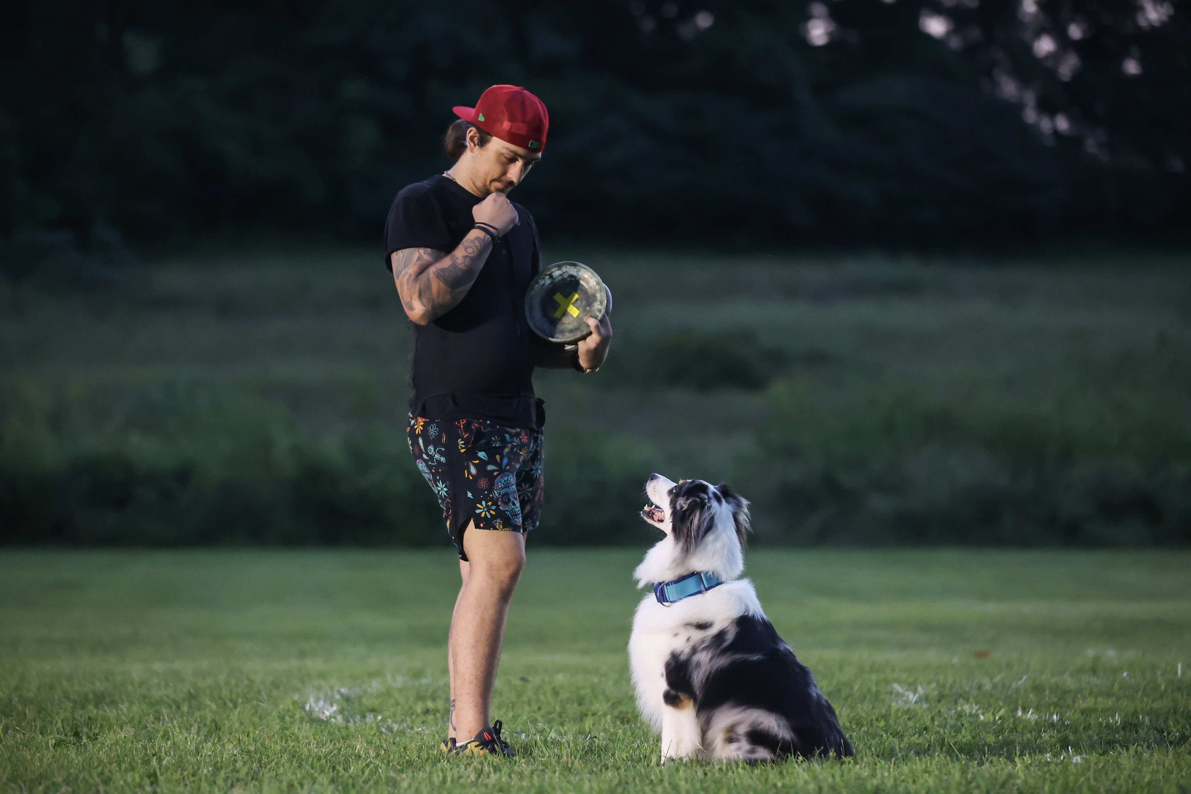 Pete training an Australian shepherd