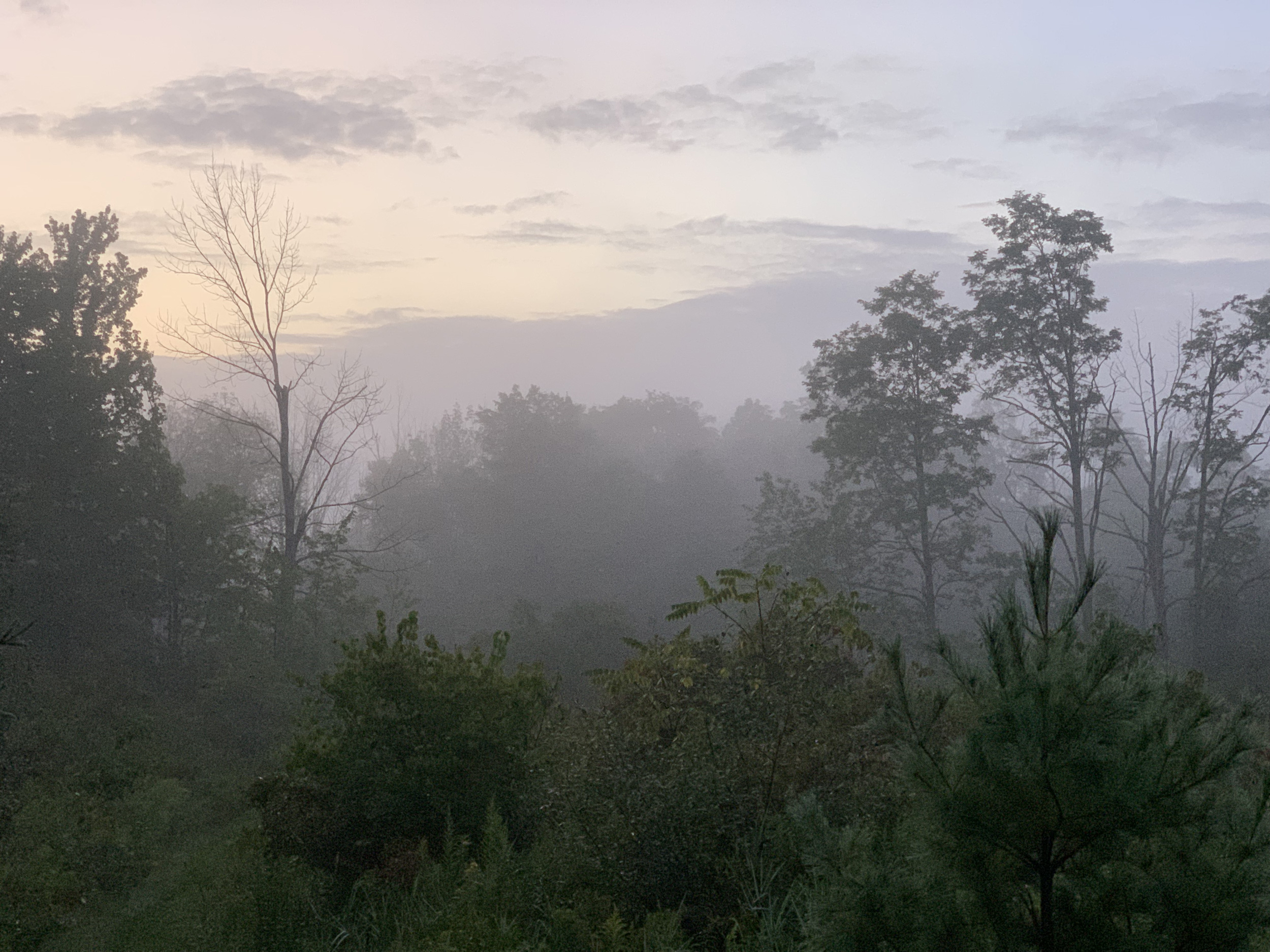 August Morning