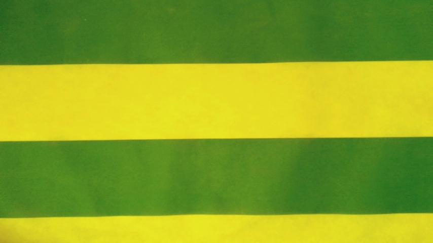 Tnt Estampado Brasil Verde E Amarelo Grupo Cad S