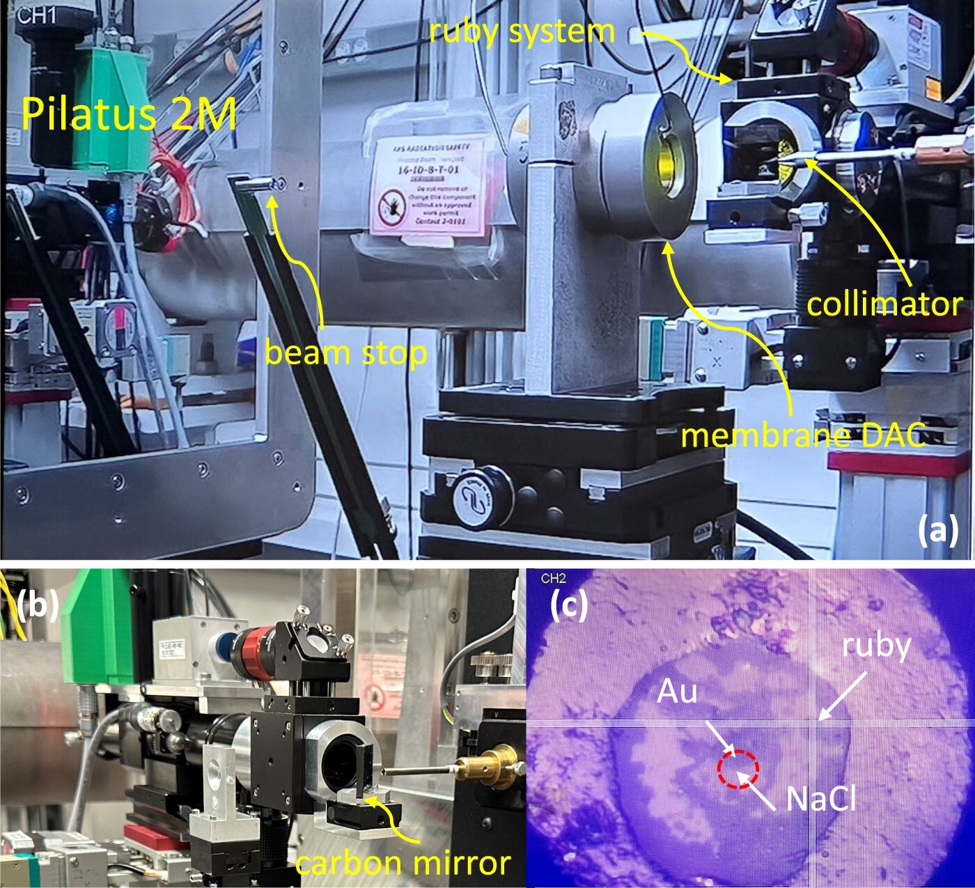 Simultaneous compression of NaCl, Au, and ruby