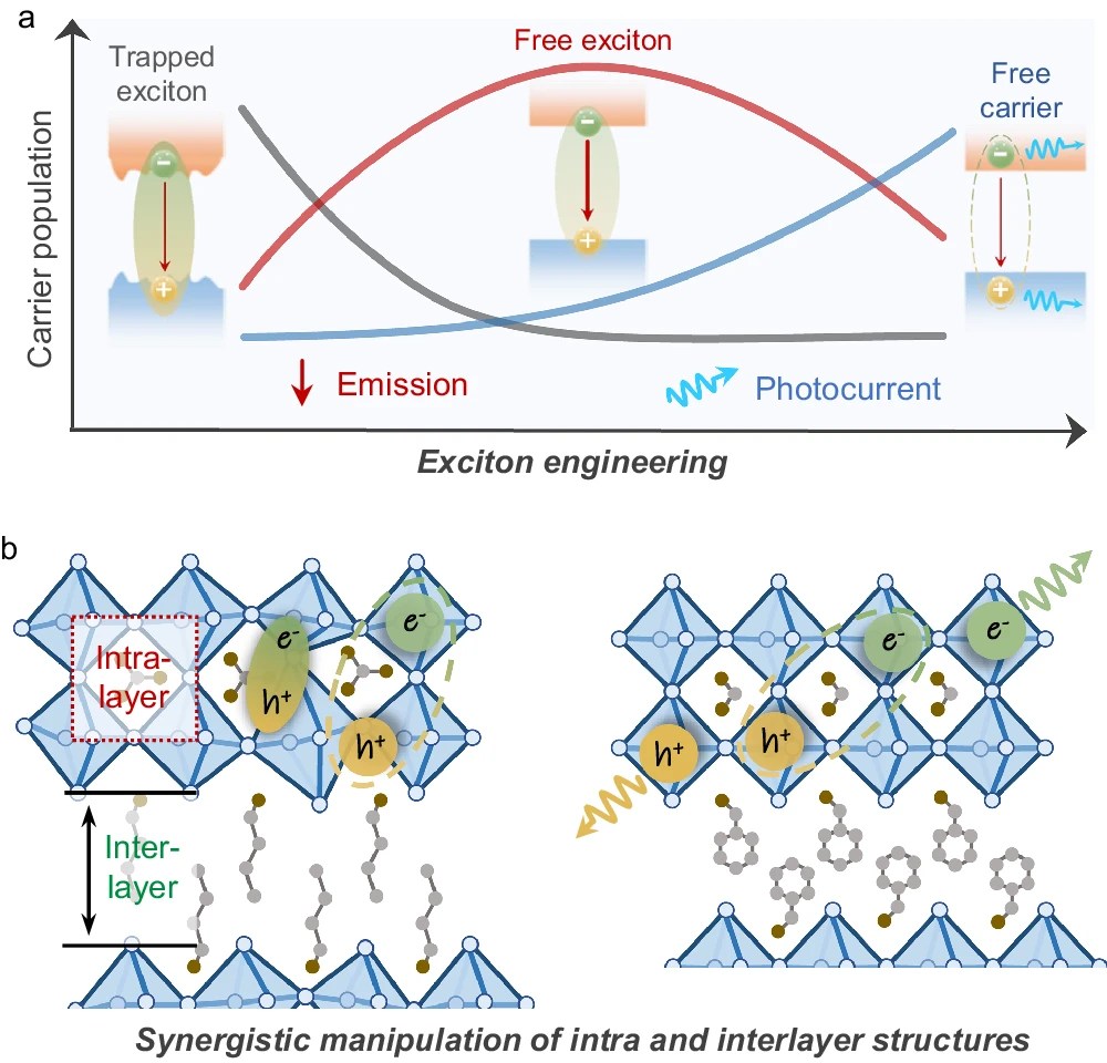Exciton engineering of 2D Ruddlesden–Popper perovskites by synergistically tuning the intra and interlayer structures