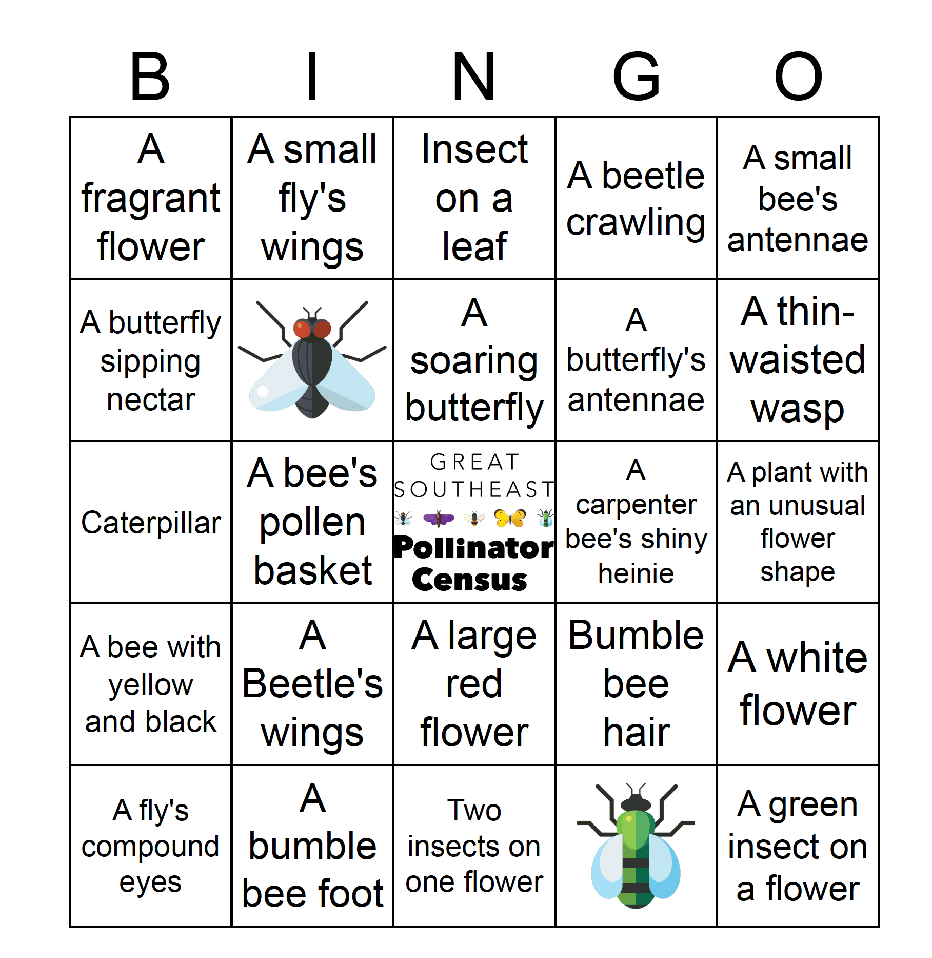 BINGO Card for insect game