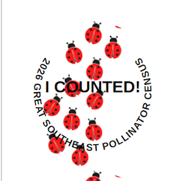 Multiple ladybugs on a white background for Southeast Pollinator Census.