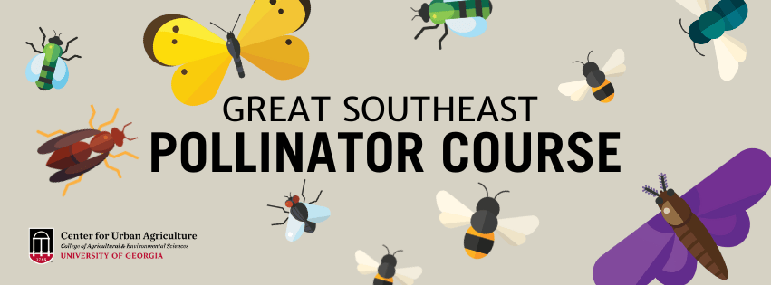Banner image for the Great Southeast Pollinator Course.