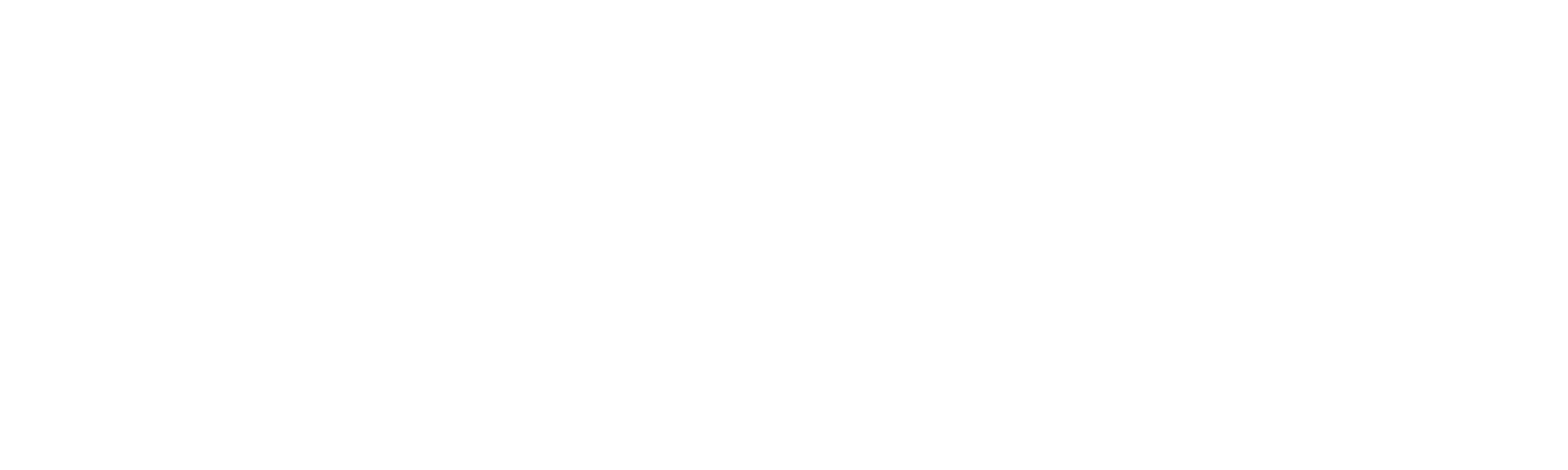 GSFortisWhite