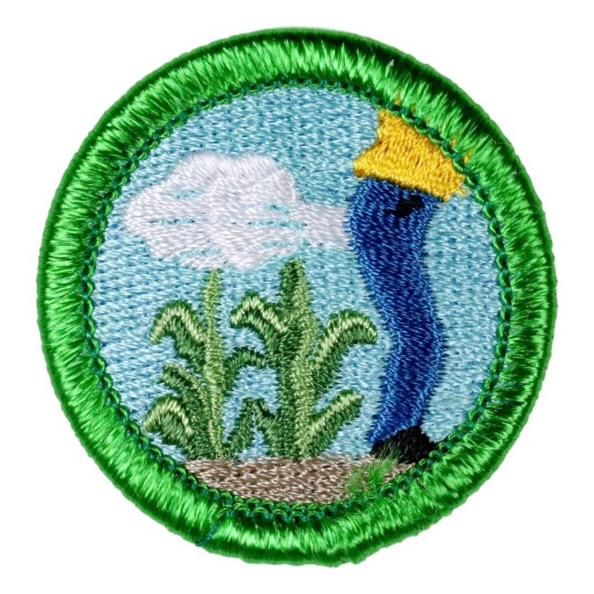 , Girl Scout History Project