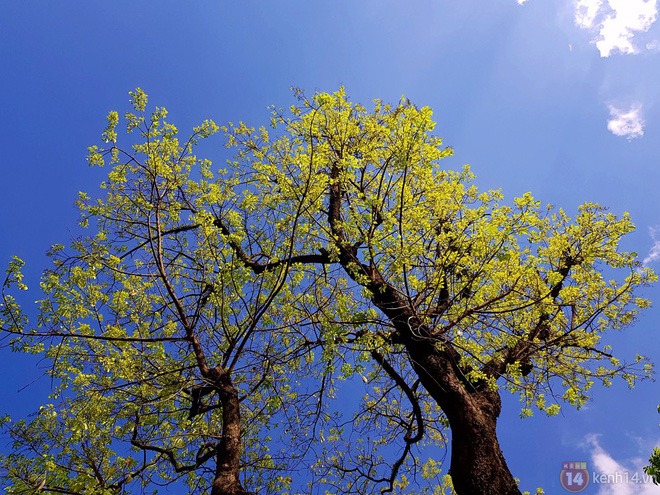 8 ngày trải nghiệm camera Galaxy A8 Star: có đúng chuẩn ngôi sao như tên gọi? - Ảnh 3.