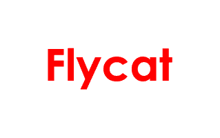 flycat logo