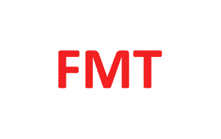 fmt logo