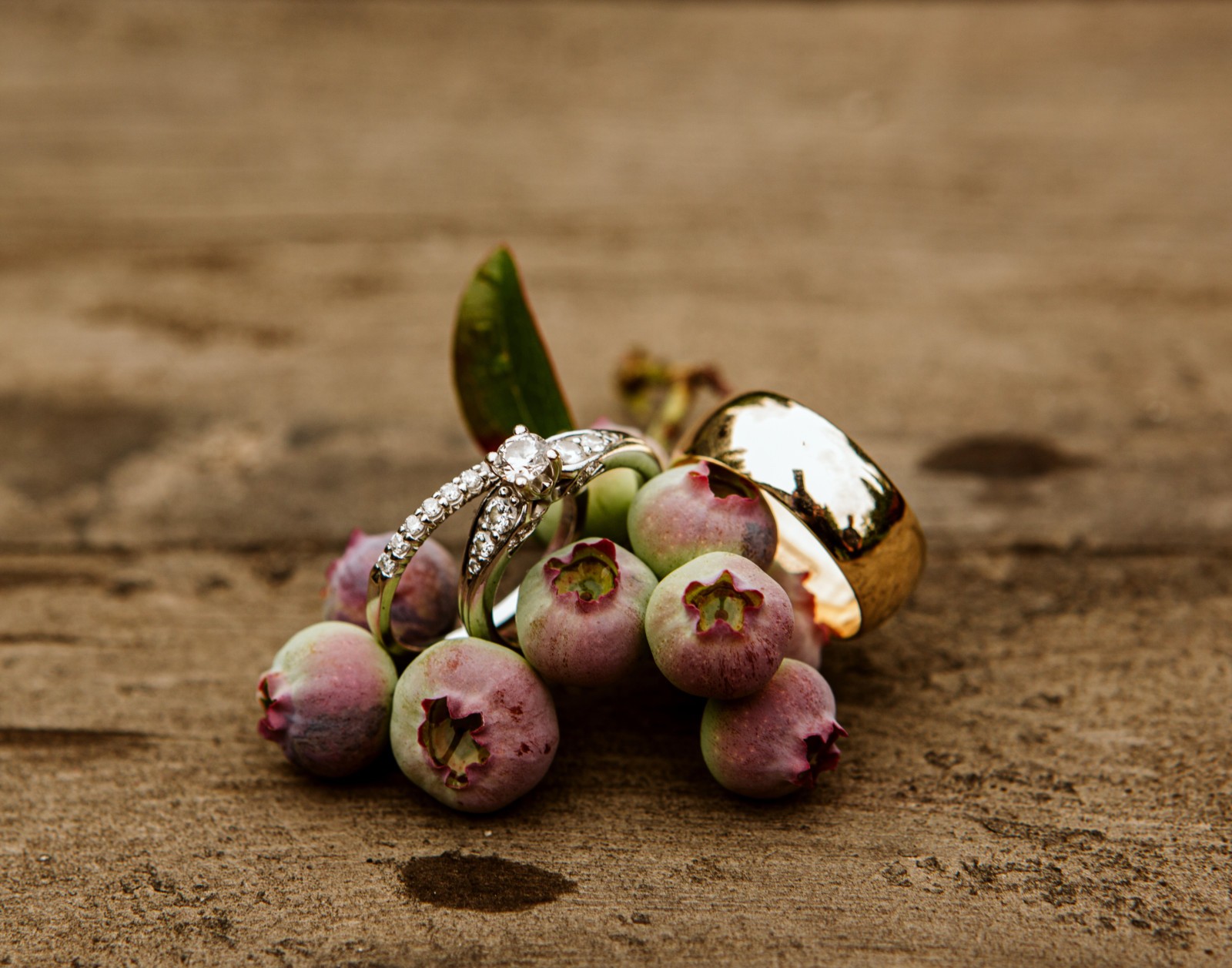 wedding rings with blueberries in snohomish wedding