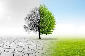 Pakistan: Moot underscores need for placing workers at the centre of climate policies