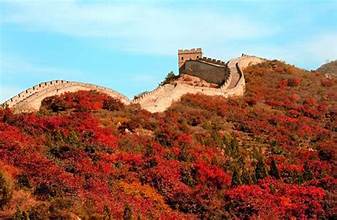 Autumn scenery of China’s Heilongjiang