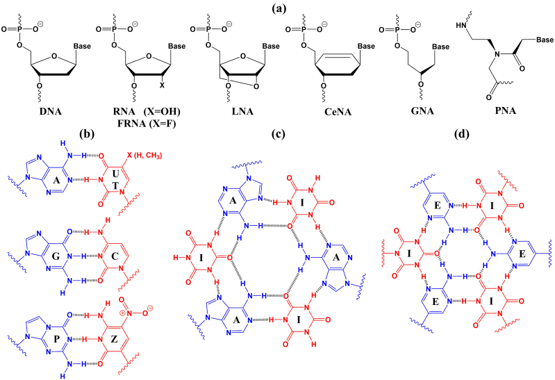 Github Gt Nucleicacids Pnab - Premium Abstract Wallpaper Gallery - Full HD