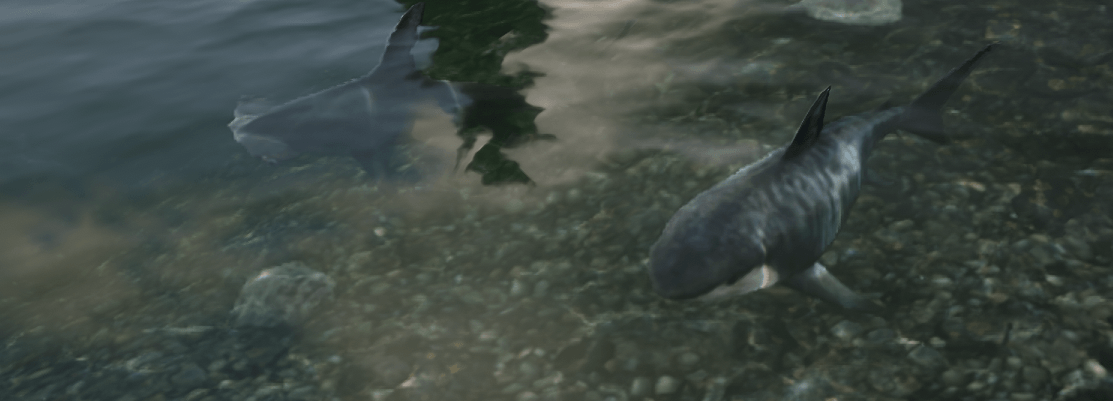 Shark GTA6 GG Forums Assets Mods Discord Biggest GTA Community Shark 