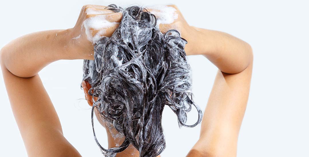 Read more about the article Proper Care and Maintenance