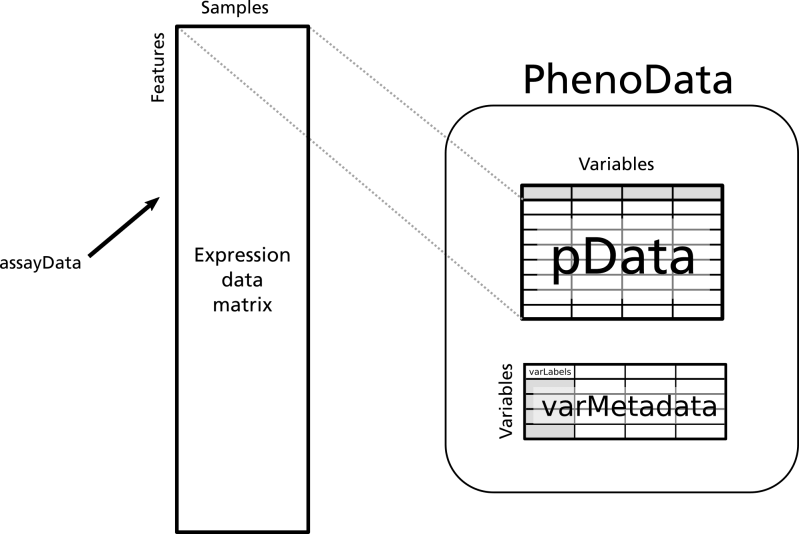 The Expressionset Data Object Bs831 - Dark Photos - Creative Retina Collection