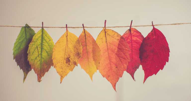 change-management-image
