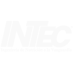 Intec-Logo