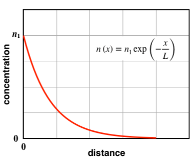 Diverging Educational Pursuits Electronics Study Stable Diffusion Online - Vintage Photo Collection - Mobile Quality