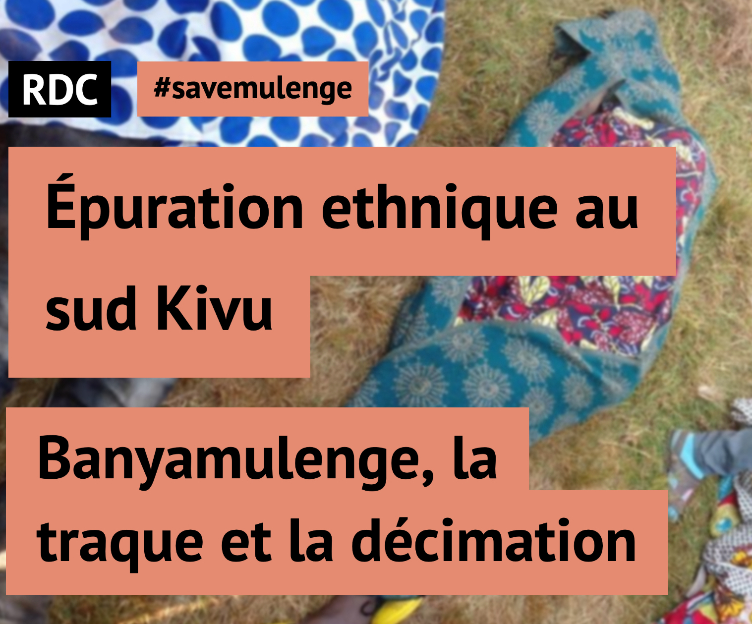 #savemulenge