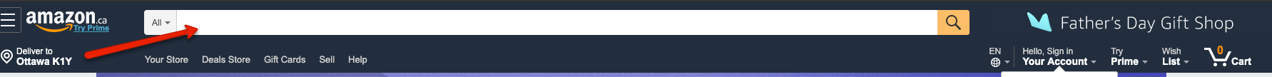 amazon_search_box