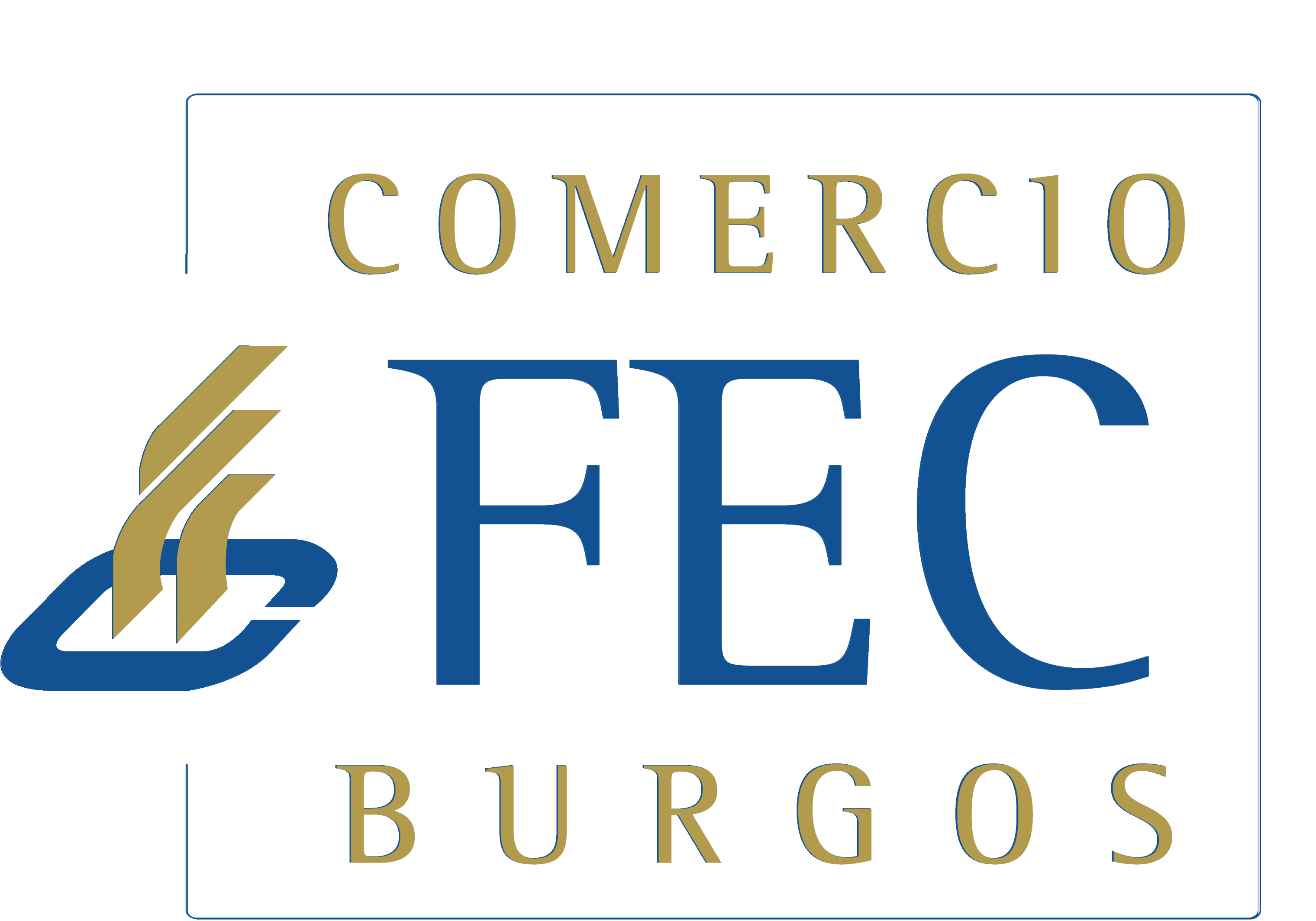 Guia De Compras De Burgos