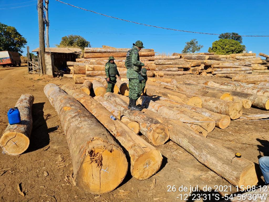 Operação do Batalhão Ambiental prende cinco pessoas e aplica R$ 481 mil em multa