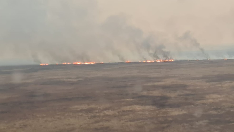 Escassez de água e fogo subterrâneo dificultam combate a incêndio no Pantanal de MT perto da fronteira com a Bolívia