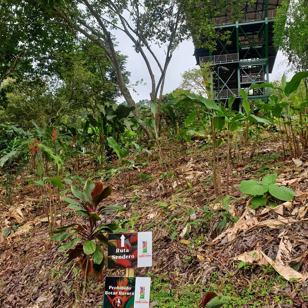 Parque de Las Heliconias/ foto Pilar Rueda