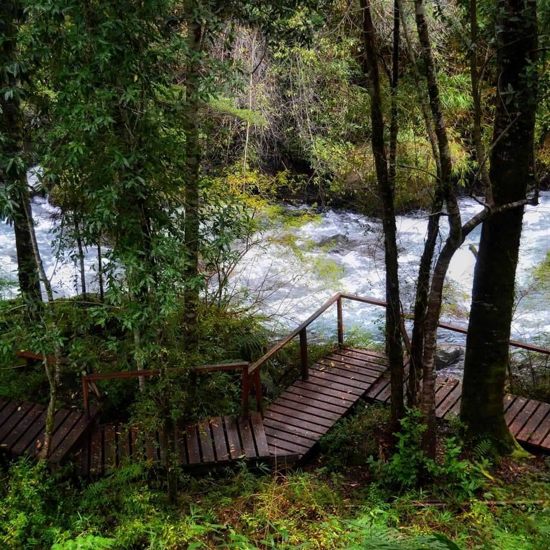 Parque Nacional Puyehue