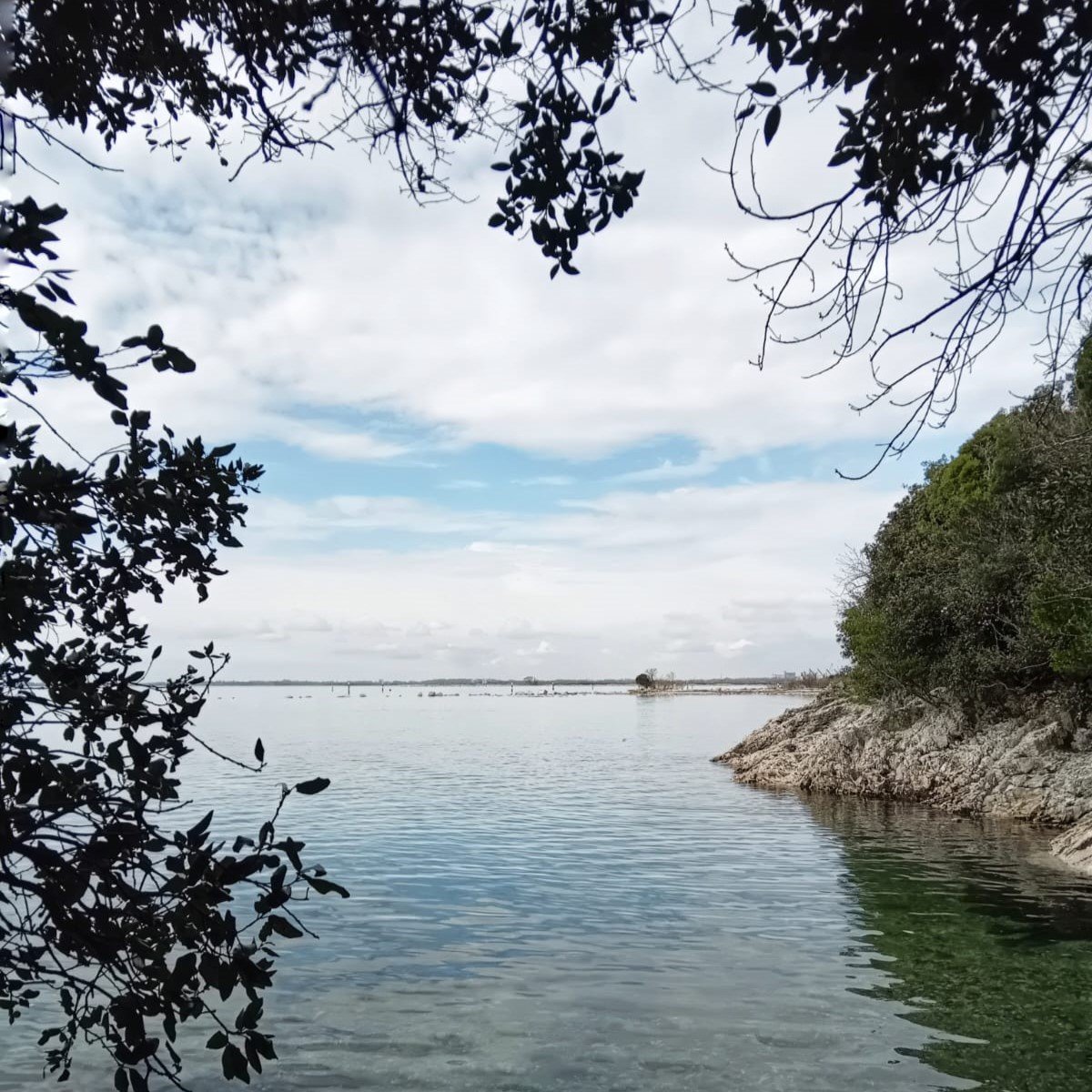 Duino e il Villaggio del Pescatore: il bosco del Principe e il mare d’Inverno