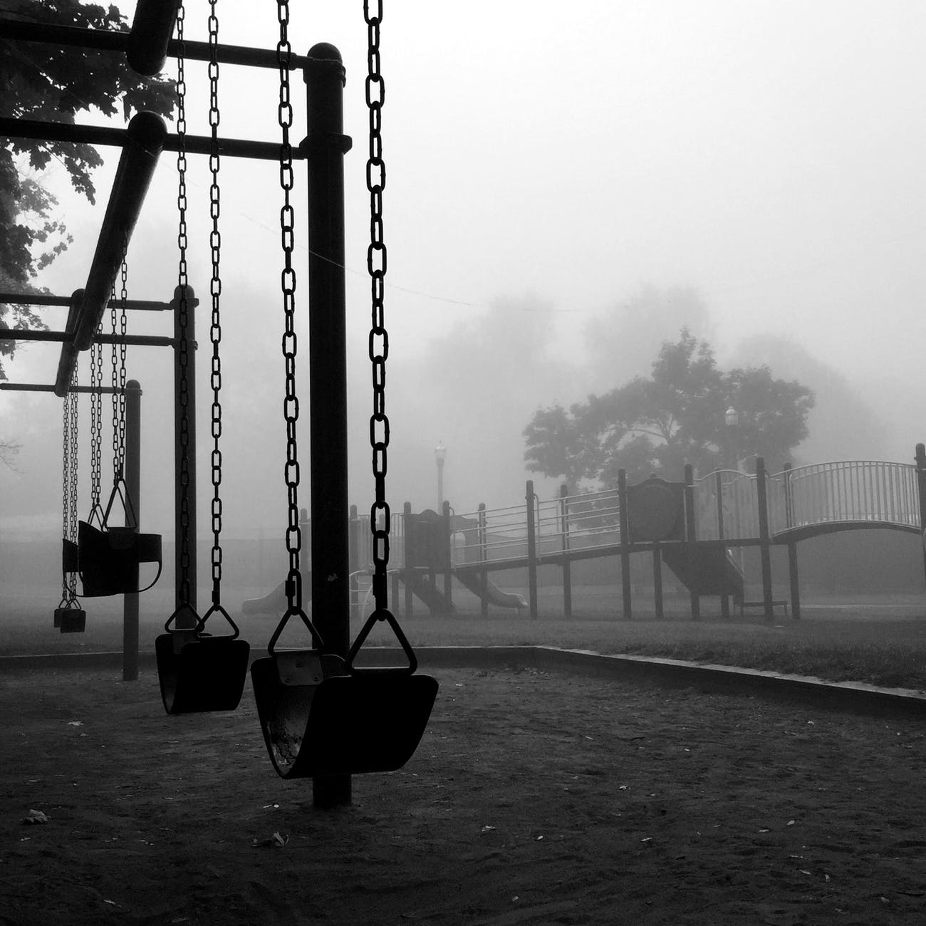 Photo by Robin McPherson on Pexels.com
