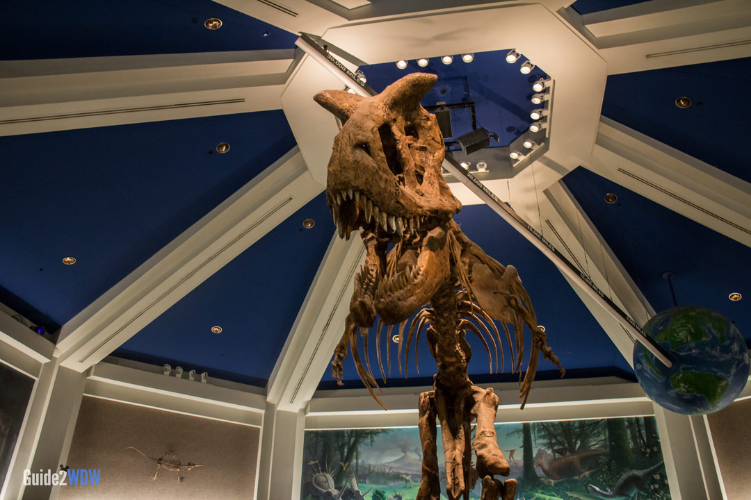 Dinosaur | Animal Kingdom Attraction | Guide2WDW