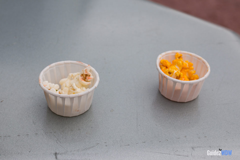Review Flavored Popcorn at Epcot Guide2WDW