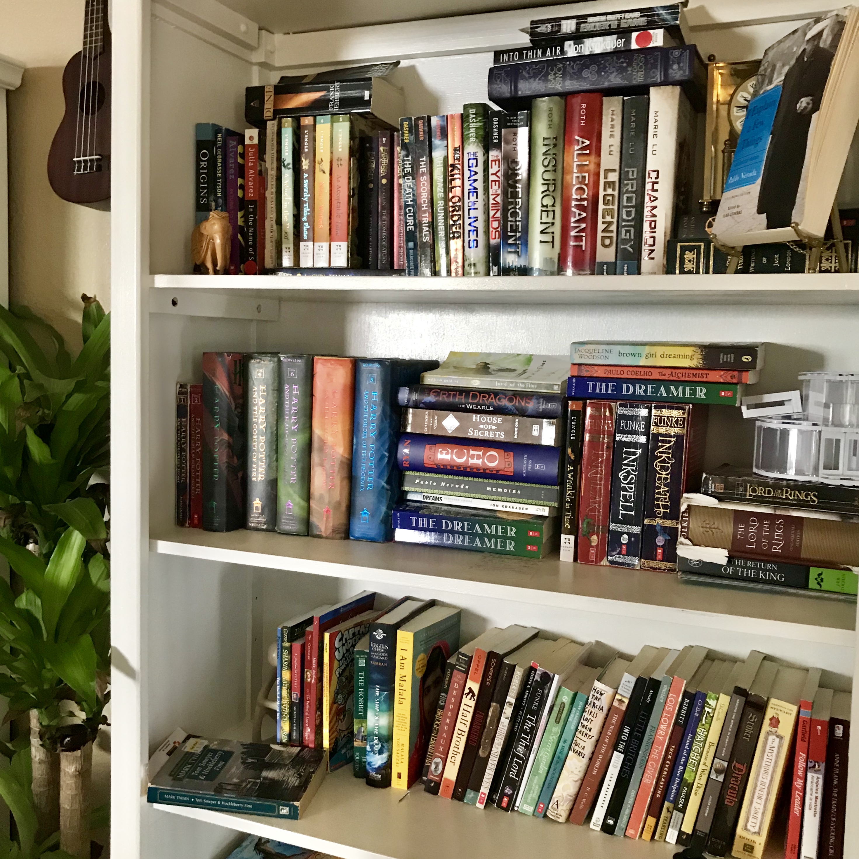 Elementary and Young Adult Books