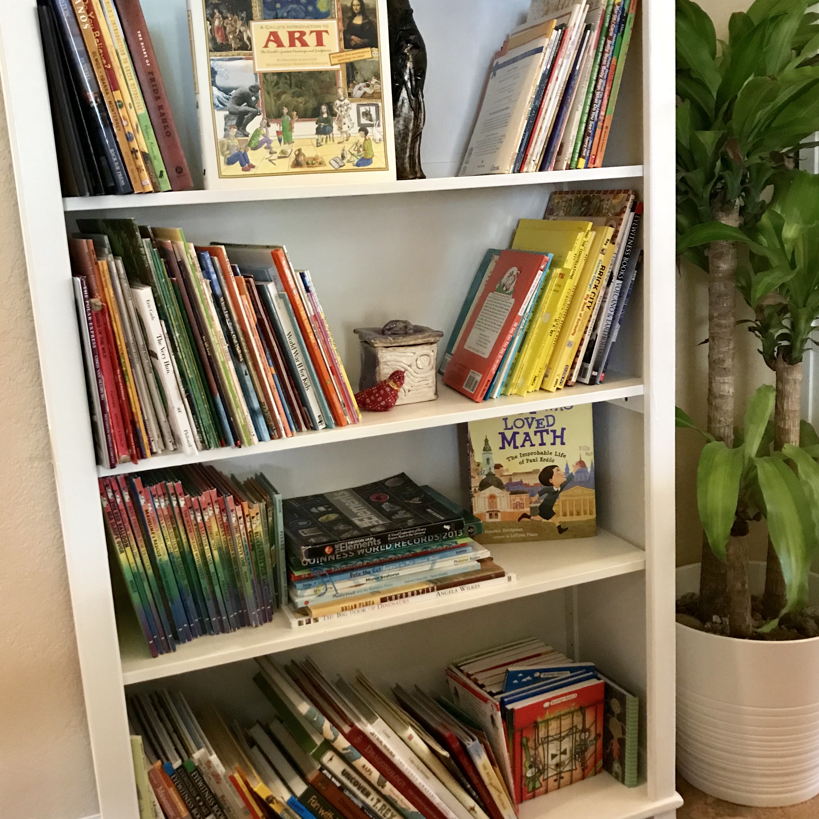 Children's Picture Books