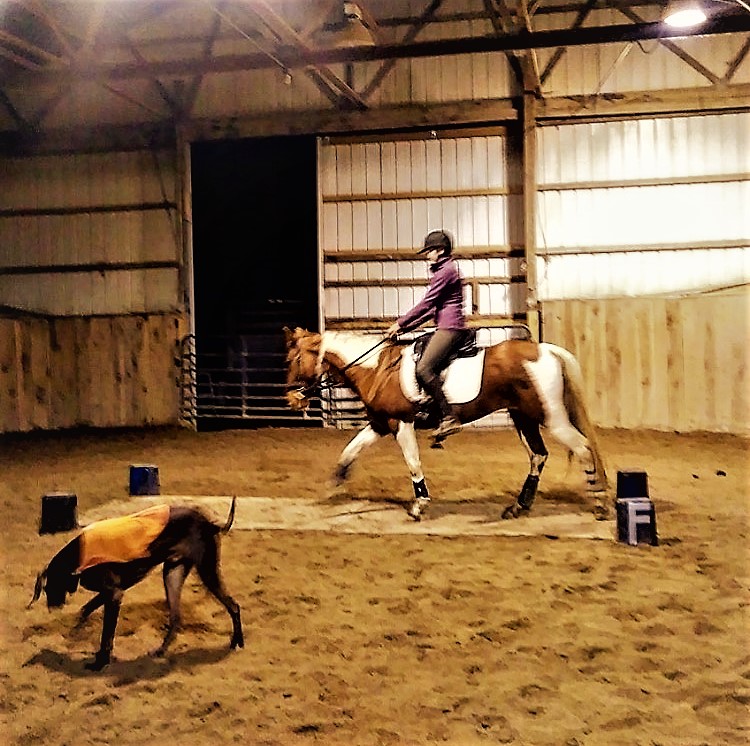 Walking Over "Bridge"