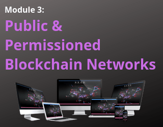 Blockchain Digest – Module 3: Public & Permissioned Blockchain Networks