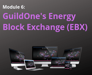 Blockchain Digest – Module 6: GuildOne’s Energy Block Exchange