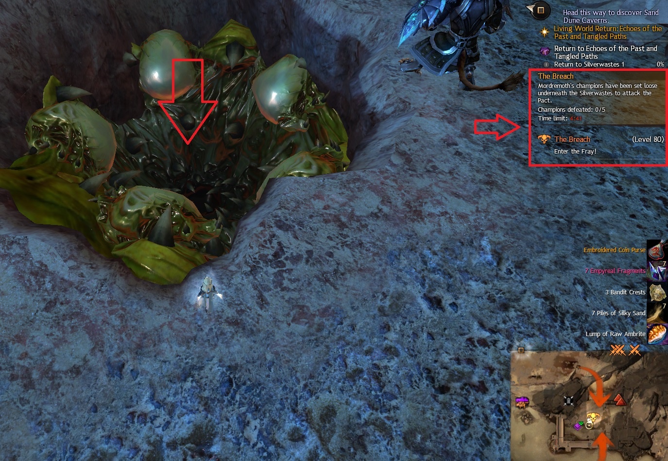 gw2 embroidered coin purse