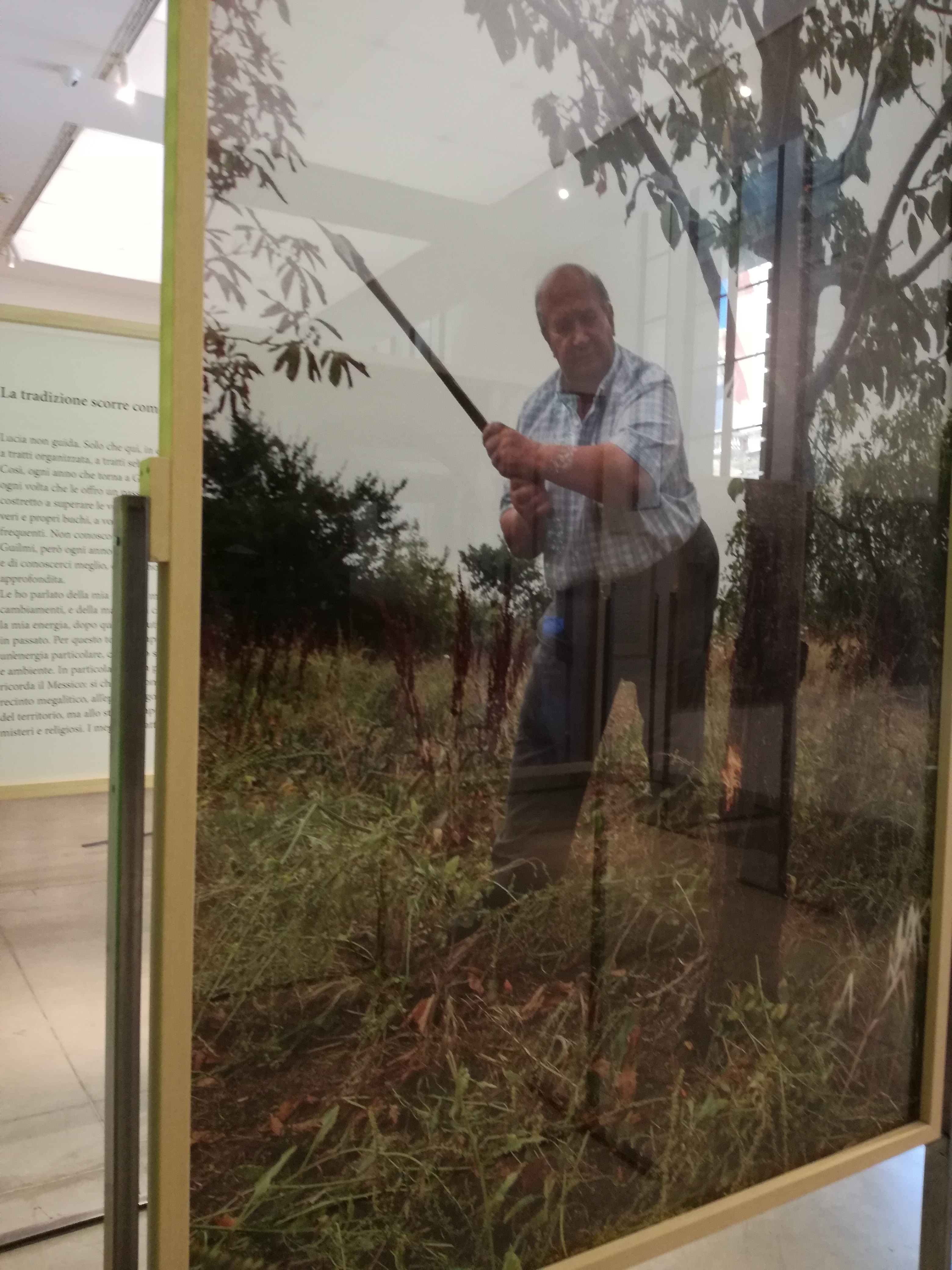 Elena Mazzi, Avanzi, That's It, Mambo, Bologna, 2018-19