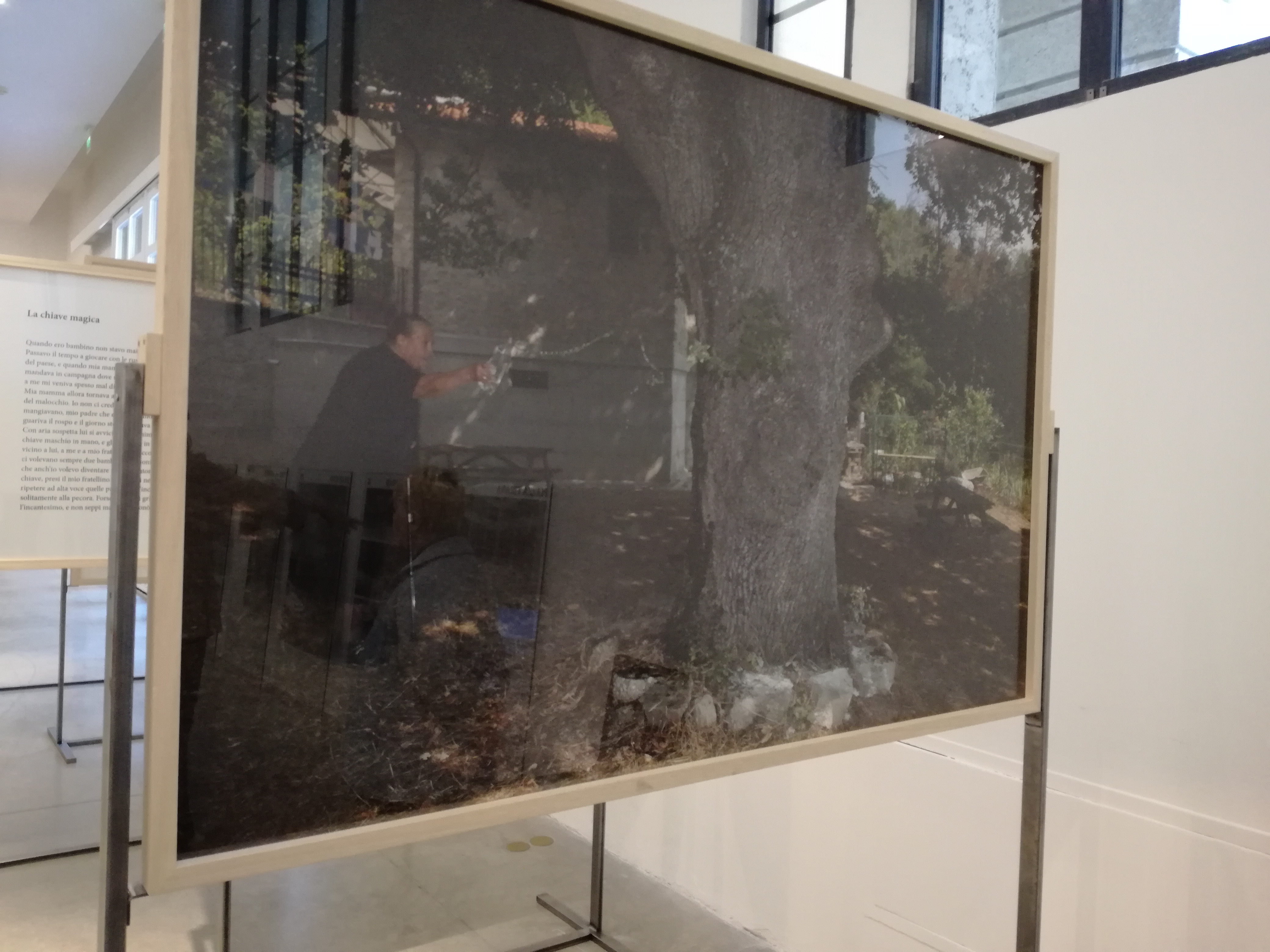 Elena Mazzi, Avanzi, That's It, Mambo, Bologna, 2018-19