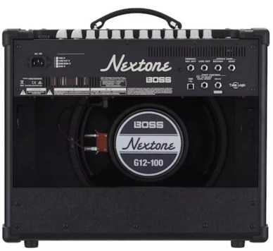 The G12-100 Speaker in the Boss Nextone