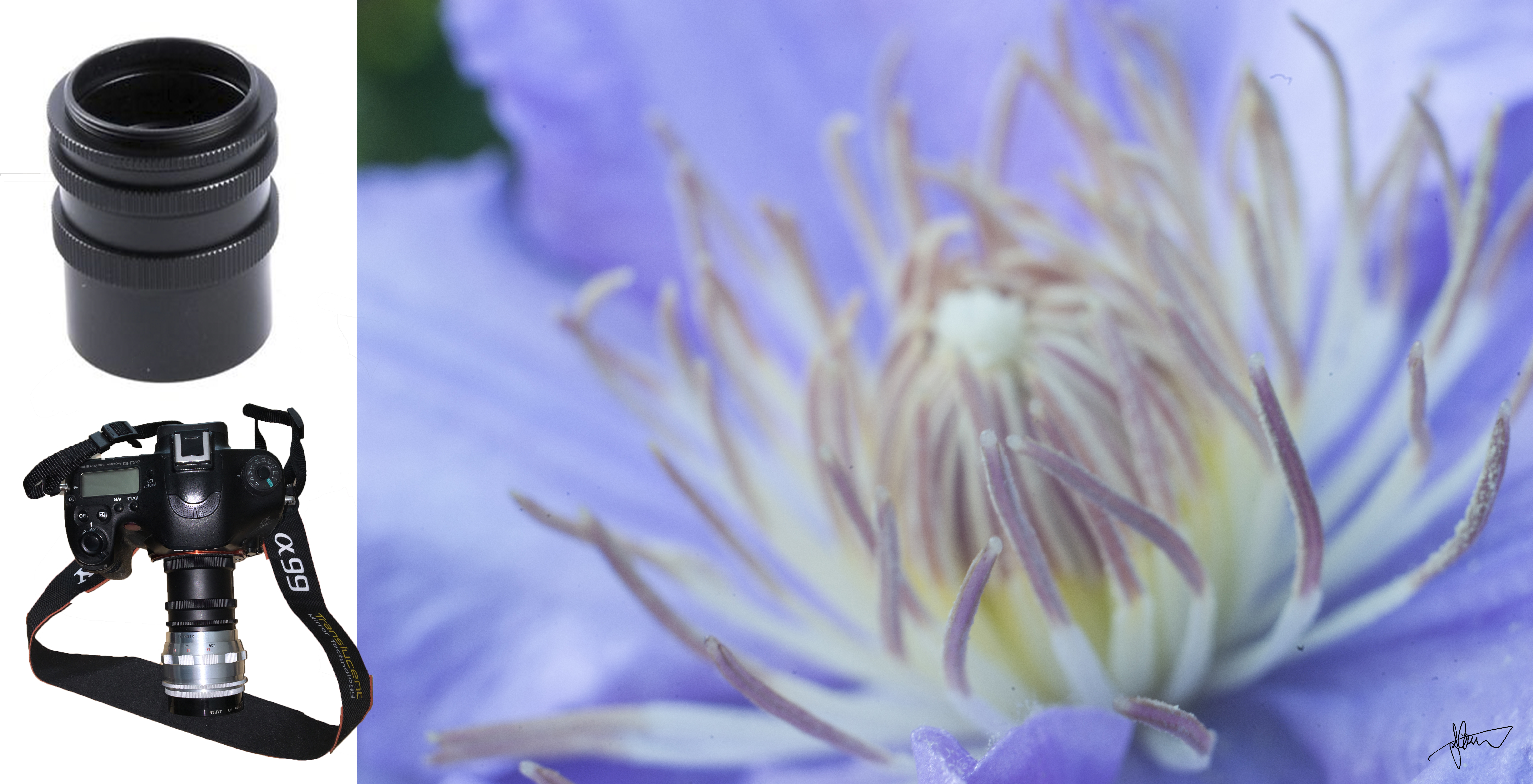 Carl Zeiss Jena Flektogon 35mm f2.8 (Part 2) – The Golden Hour