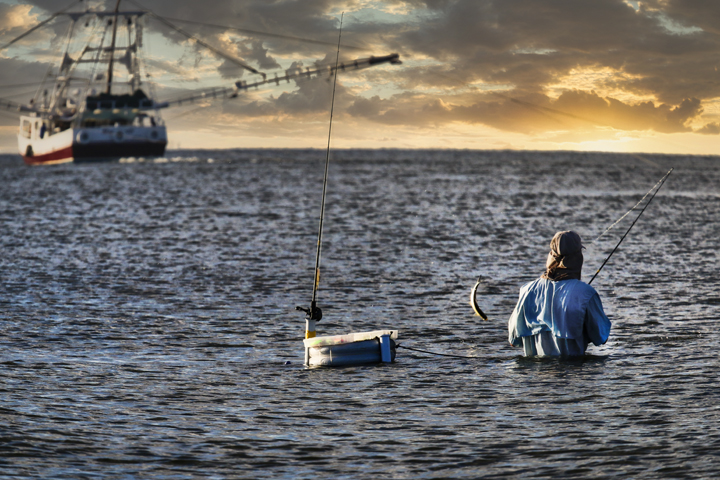Louisiana’s Live Bait Industry Under Duress After Four Hurricanes In Two Years