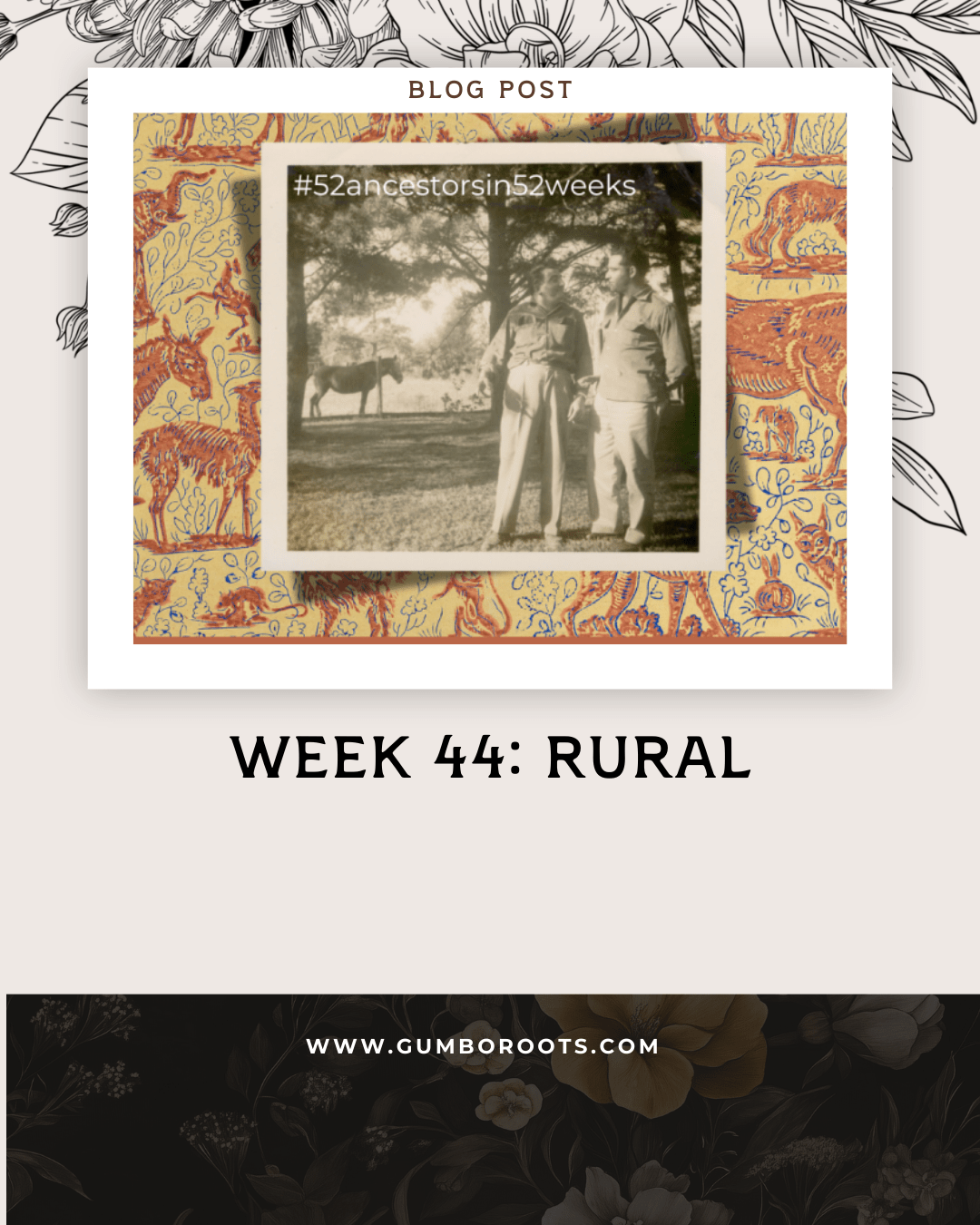 Week 44: Rural